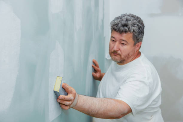 Best Drywall Crack Repair  in Grand Point, LA